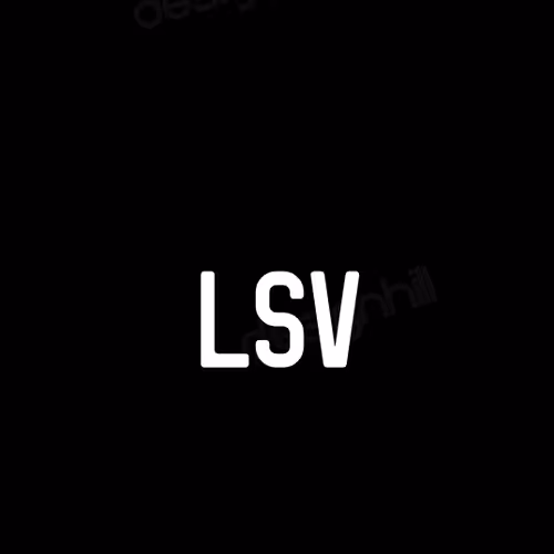 LSV US Collection