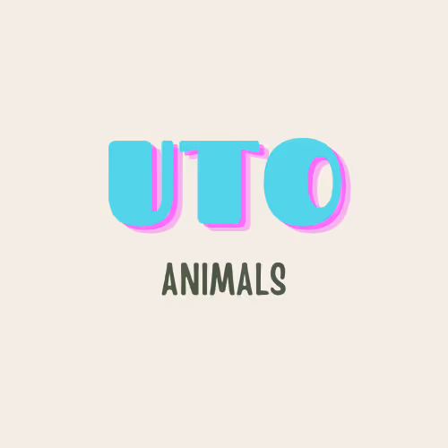 UTOANIMALS