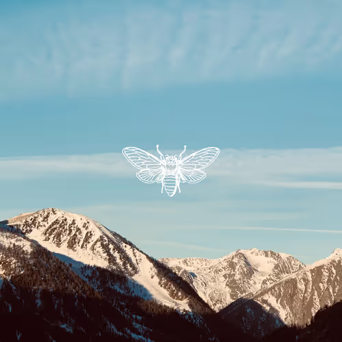 v o l (VI)