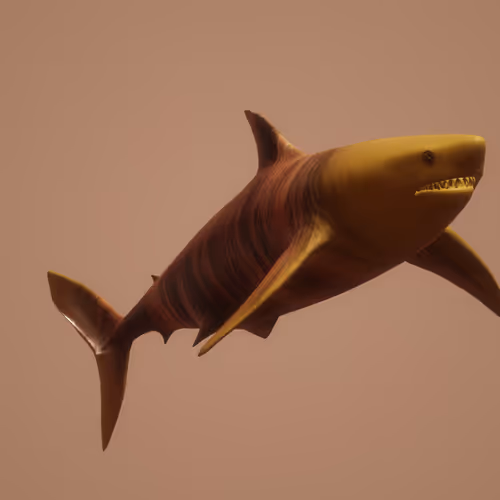 Treasures of the Sea - Sharks