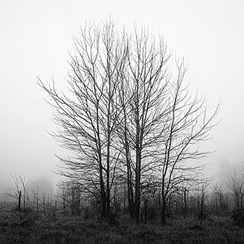 Vallis - Black & White Valley