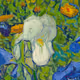 Van Gogh's Flowers