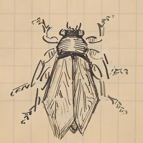 Van Gogh : About Sketches