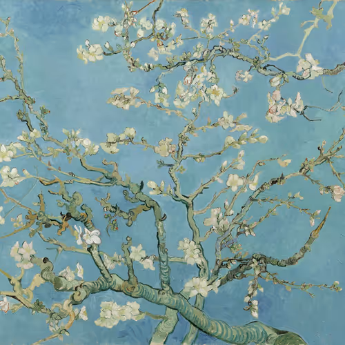 Van Gogh Vibe