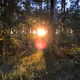 Various Nature