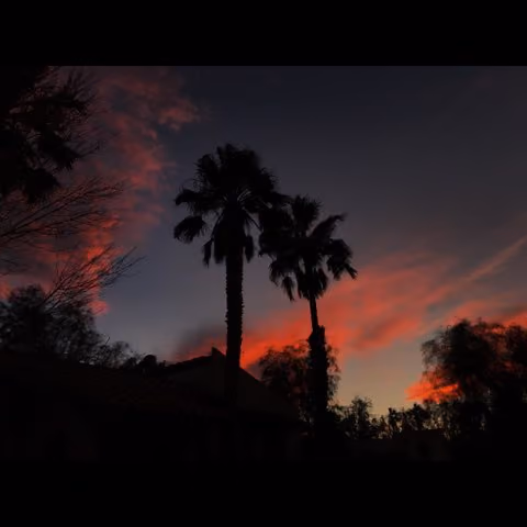 Vegas Skys
