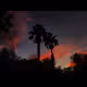 Vegas Skys