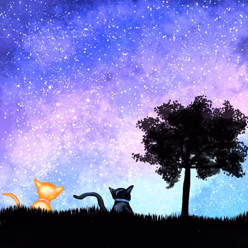 Velvet Skies and Silent Tails