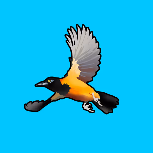 Venezuela by Pinilla