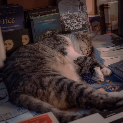 Venice capsule collection - old