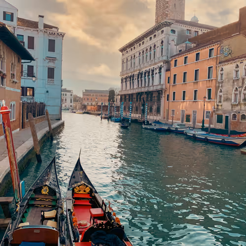 Venitian Collection