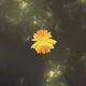 Verse Immersive: Omni Lotus - old