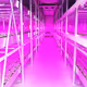 Vertical Farming