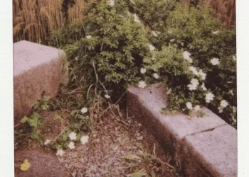 View from Window Where I was Happy