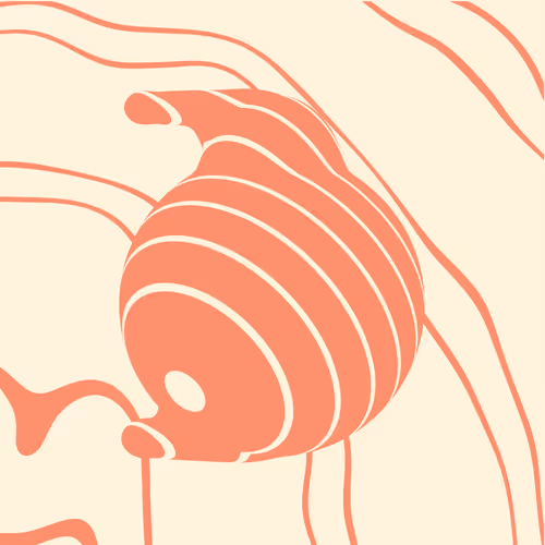 VIBE RAISER TYPEFACE