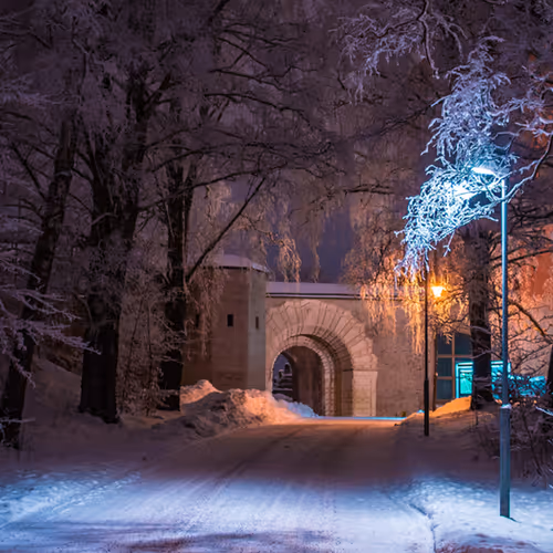 Vibrant Winter - old