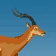 VICTIM TIGER - ANTELOPE