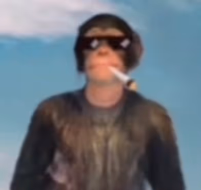 Very rare videos