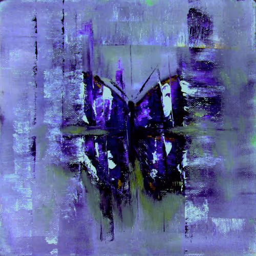 VIDEO MATRIX BUTTERFLY