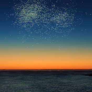 Video Art Stills