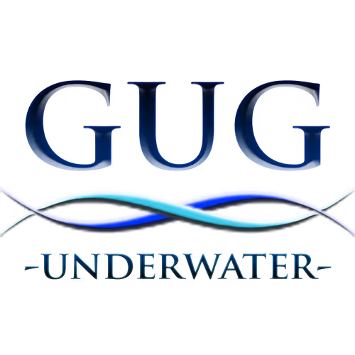 Videos From The Sea - old