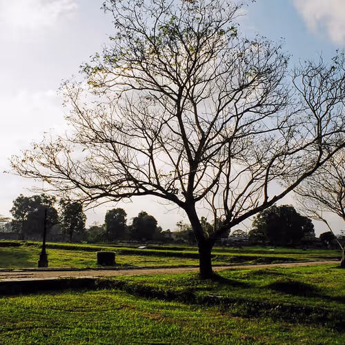 Vietnam on film, 2005