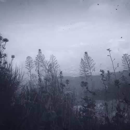 View from Vesuvius - old