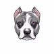 VIP-Doggy