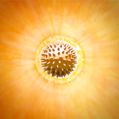 Viral Happiness_03/99