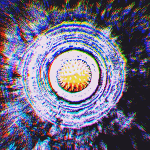 Viral Happiness #15/99 - old