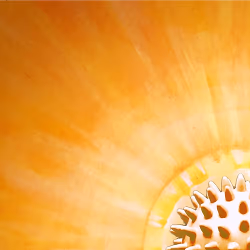 Viral Happiness - old