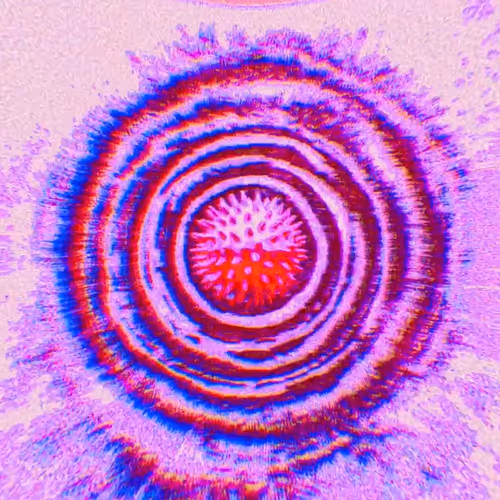 Viral Love #13/99 - old