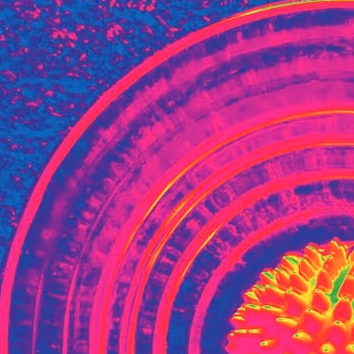 Viral Love #31/99 - old