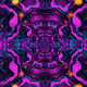 Visual TRIPS