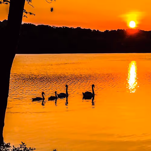 Visually Stunning Nature Images