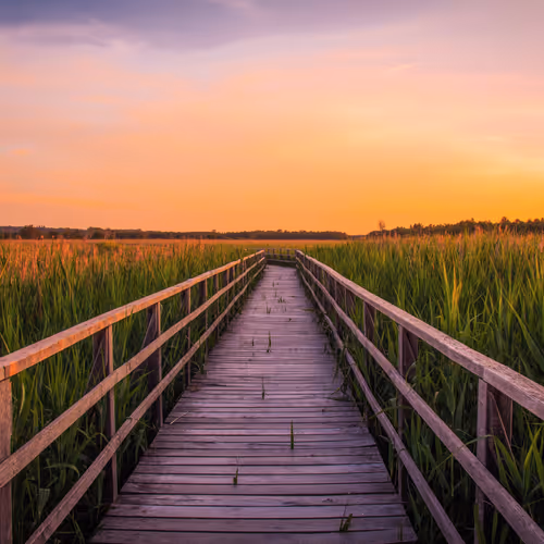 Visuals By Bcat - old