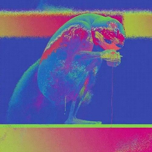 Vivid Core