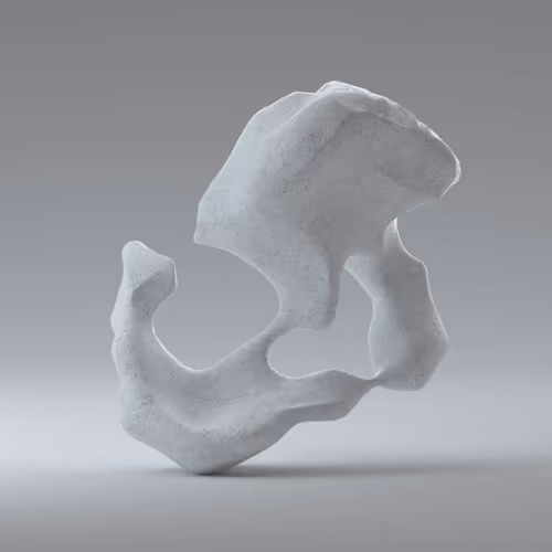 VOICE GEMS x PHYSICAL VOICE FORMS - old