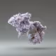 2024 :VOICE GEMS CREATION TOKEN