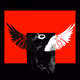 VOID WINGS V3