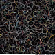 From Code to Art - Distribution Vononoi Art Special Collection