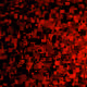 Universe of Rectangles - old