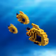 Voxel Fish