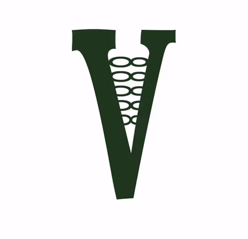 Vermont Internet Design NFTS