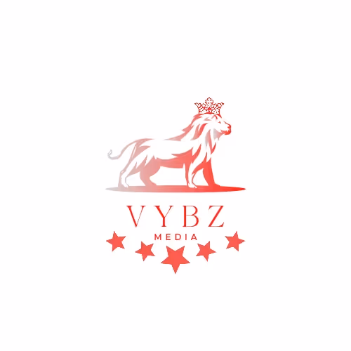 VybzMedia Collection