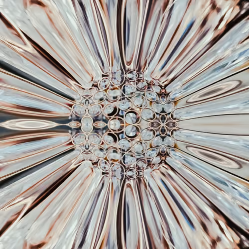 Visualizeyourmind