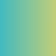 undefined collection