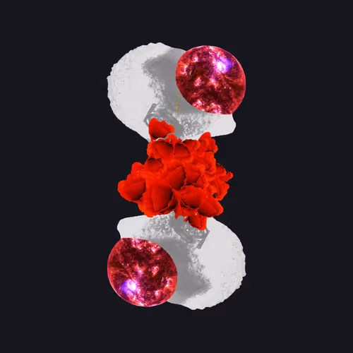 Walk the Straight and Narrow