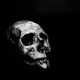 Walking Undead - old