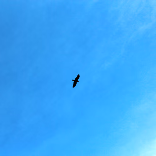 walkingalone